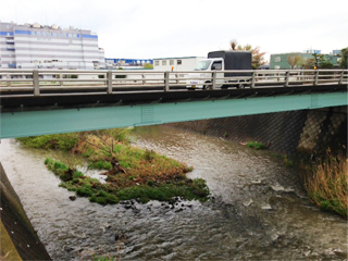 example_bridge_a3