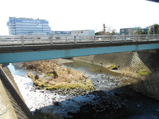 example_bridge_b3